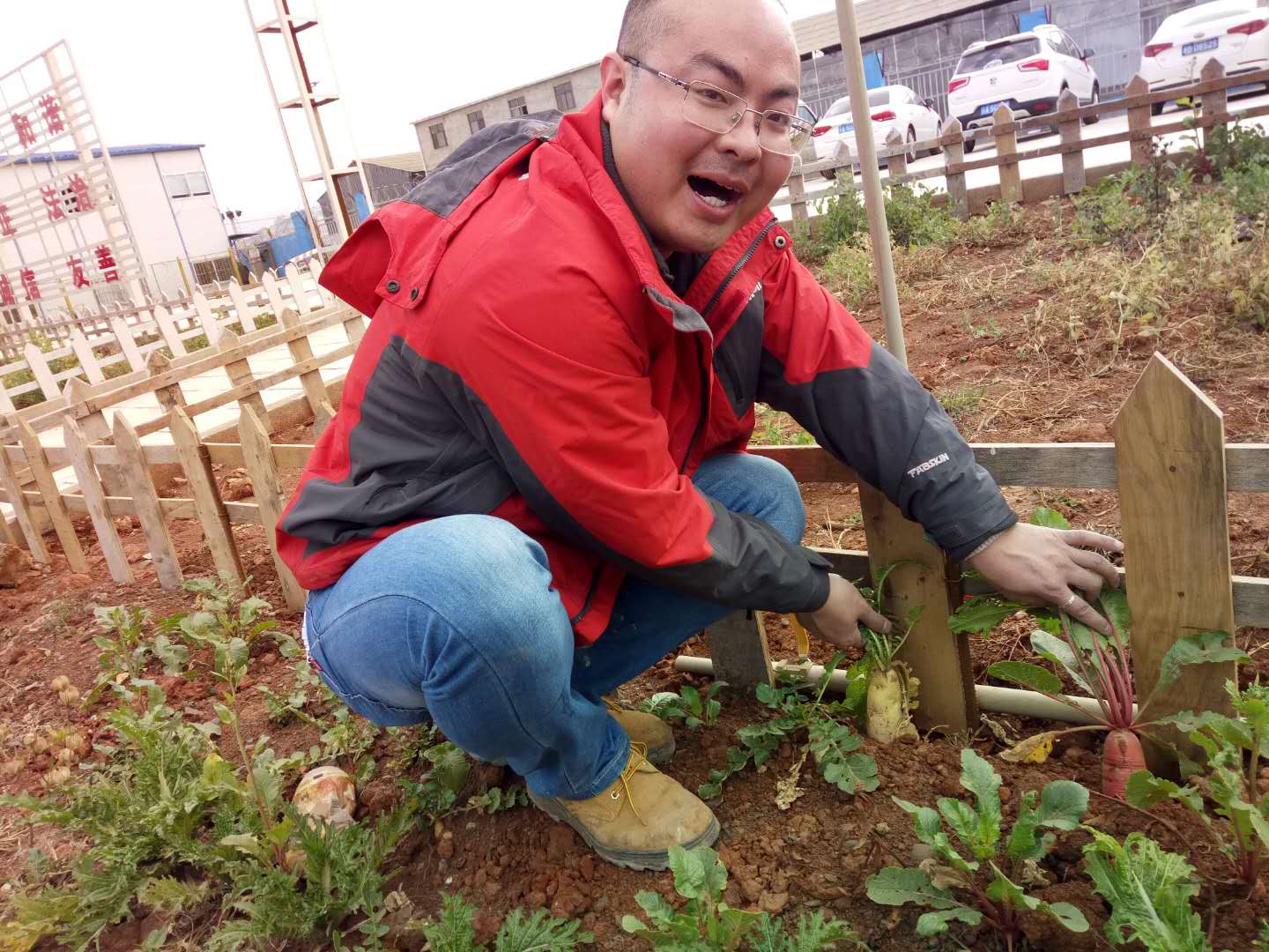 三公司空港項目菜園2.jpg 三公司空港項目菜園2.jpg